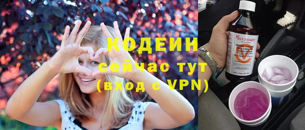дурь Покачи